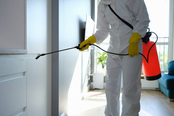 Office Mold Removal Services in Conway, FL