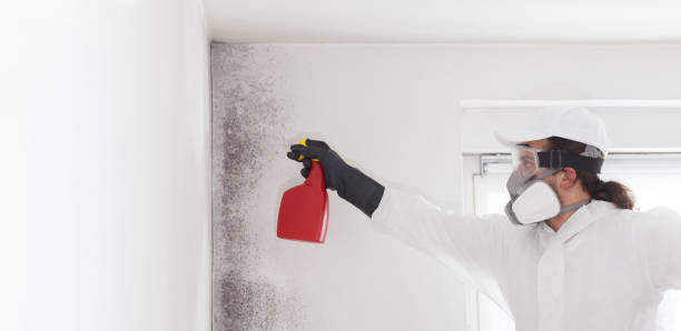 Best Crawl Space Mold Removal  in Conway, FL
